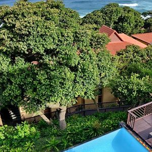 Anew Hotel Ocean Reef Zinkwazi